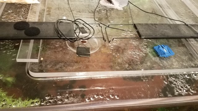20190120_154331.jpg