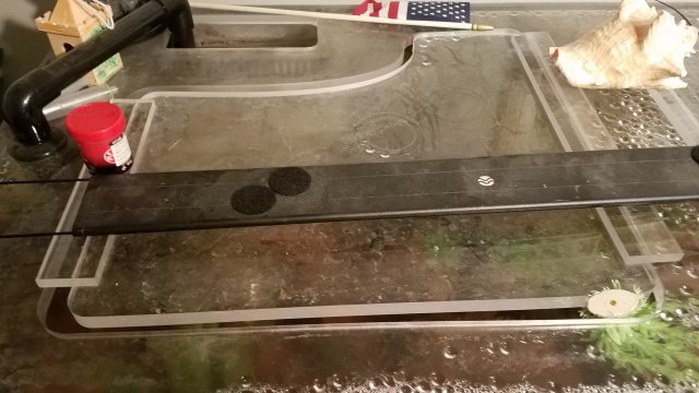20190120_154327.jpg
