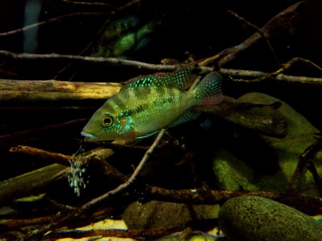 20190120_192628.jpg