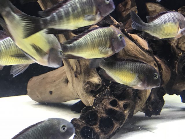 20181105_065250548_iOS.jpg
