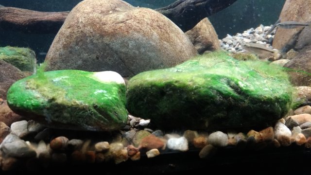 P_20181215_172840.jpg P_20181215_172840.jpg