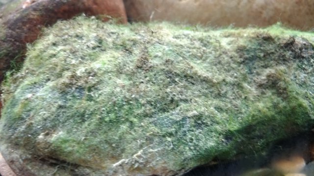 P_20181215_172853.jpg