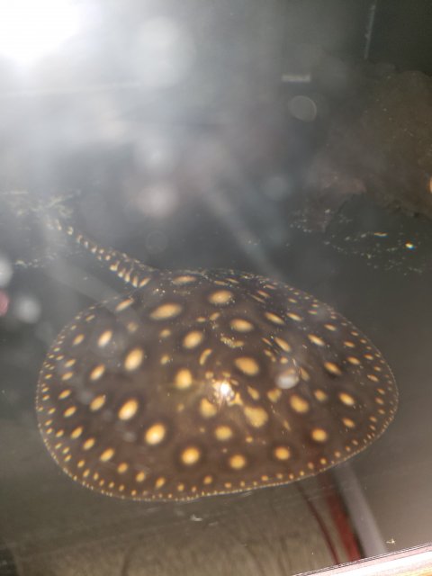 20190127_132401.jpg 20190127_132401.jpg