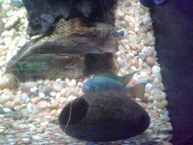 20190129_064658.jpg