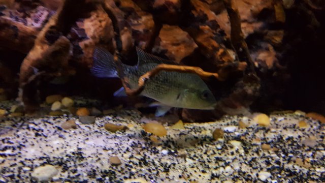 20190129_160132.jpg