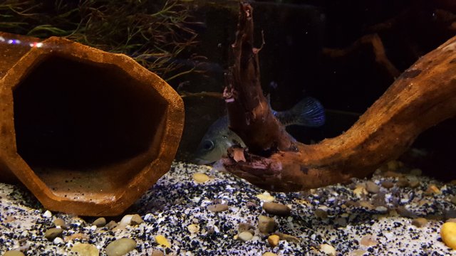 20190129_160040.jpg