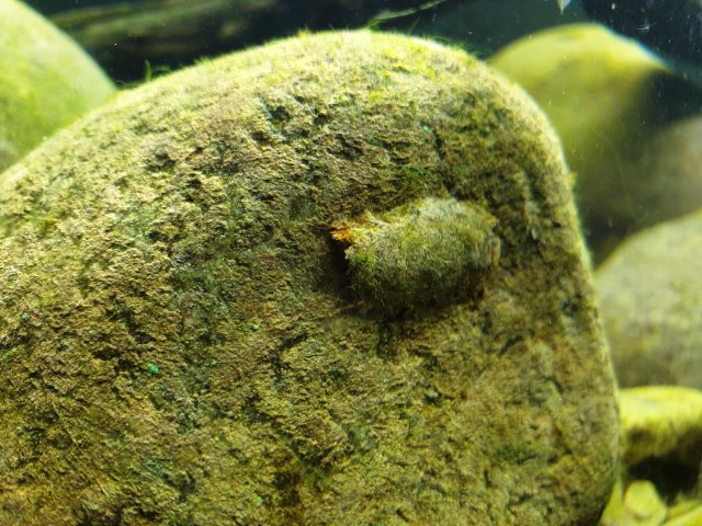 20190130_230615.jpg 20190130_230615.jpg