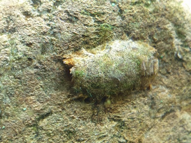 20190130_230627.jpg 20190130_230627.jpg