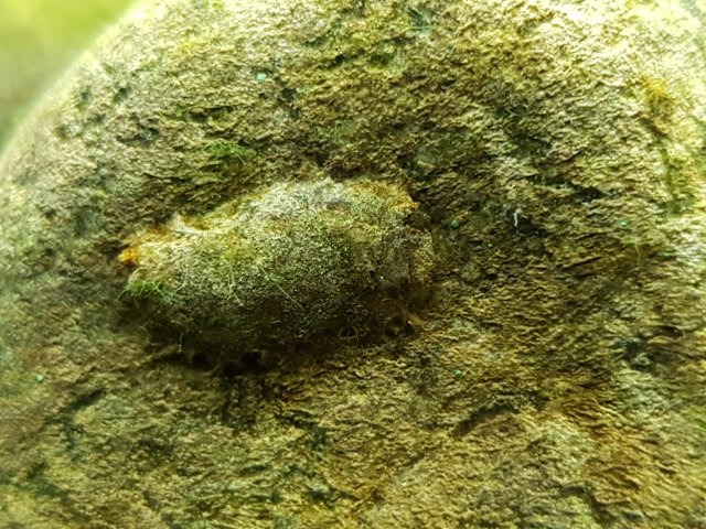 20190130_230643.jpg 20190130_230643.jpg