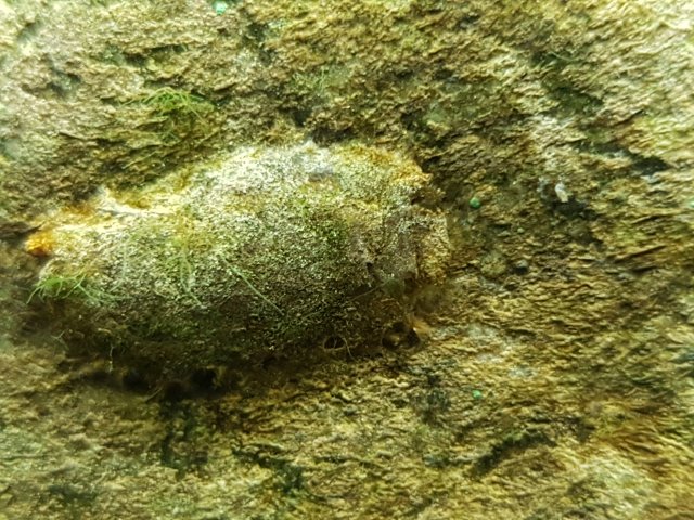 20190130_230647.jpg 20190130_230647.jpg