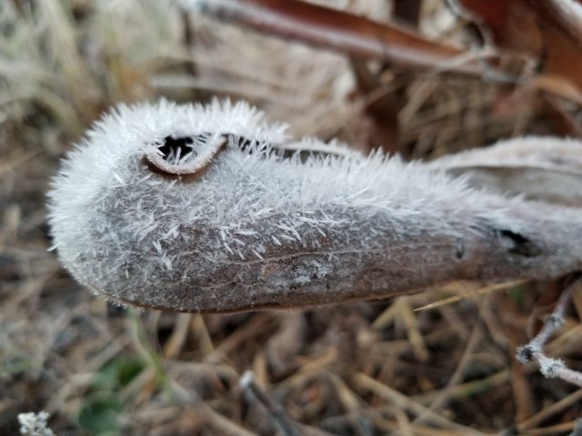20190131_071454.jpg 20190131_071454.jpg