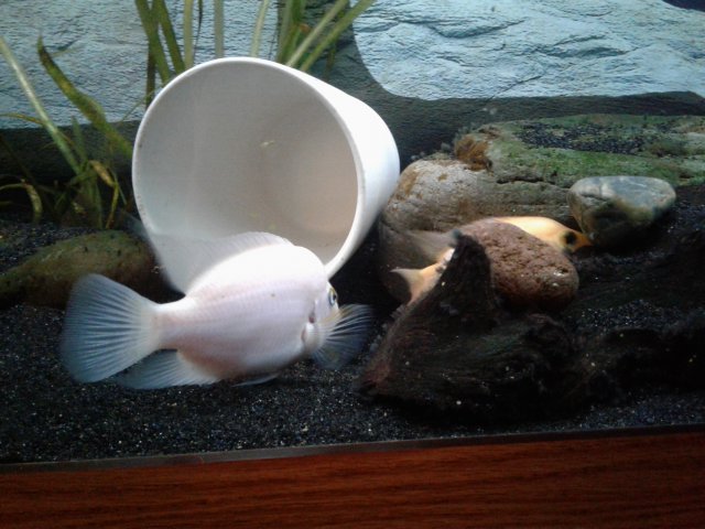 1548951087769-2132842315.jpg 1548951087769-2132842315.jpg