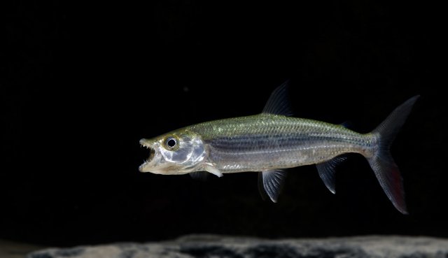 DSC_7078.jpg