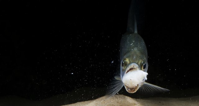 DSC_1107.jpg
