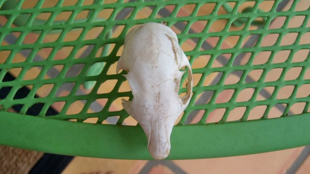 100_8422.JPG