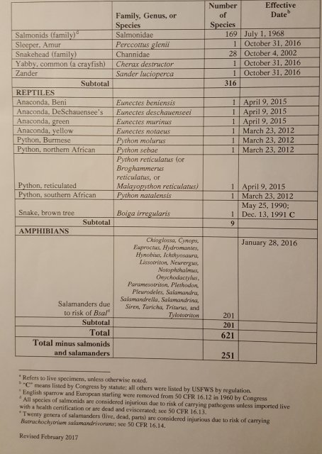 20190201_180242.jpg
