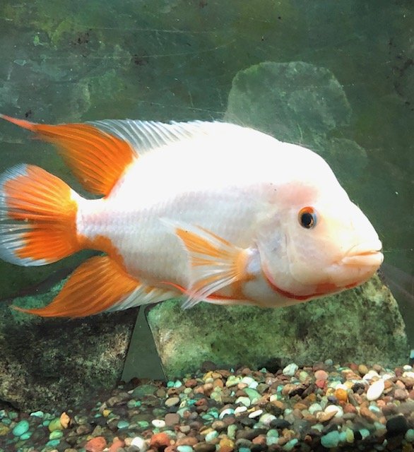 IMG_6546.jpg IMG_6546.jpg