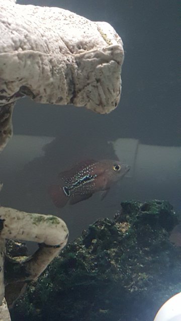 20190204_220414.jpg