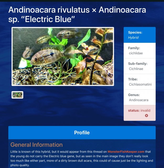 8E35F5B9-E6AB-4B1A-A0CD-6EBCDAC93D39.jpeg 8E35F5B9-E6AB-4B1A-A0CD-6EBCDAC93D39.jpeg