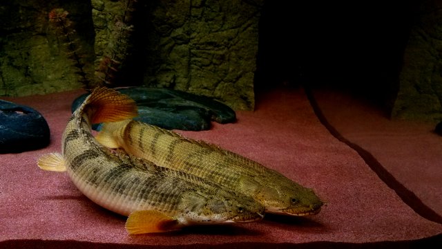 20190130_191527.jpg
