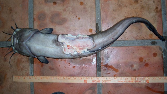 100_8425-1.JPG 100_8425-1.JPG