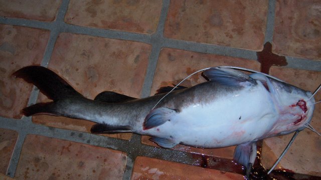 100_8440.JPG 100_8440.JPG