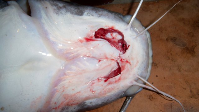 100_8440-1.JPG 100_8440-1.JPG