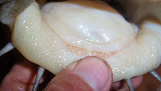 100_8424.JPG