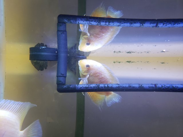 20190206_201553.jpg