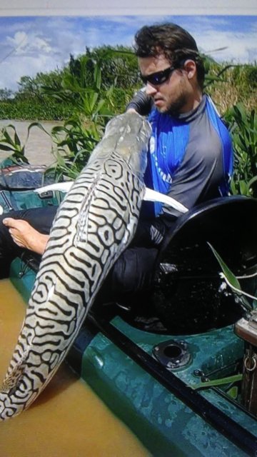 Big Beautiful Catfish! | MonsterFishKeepers.com