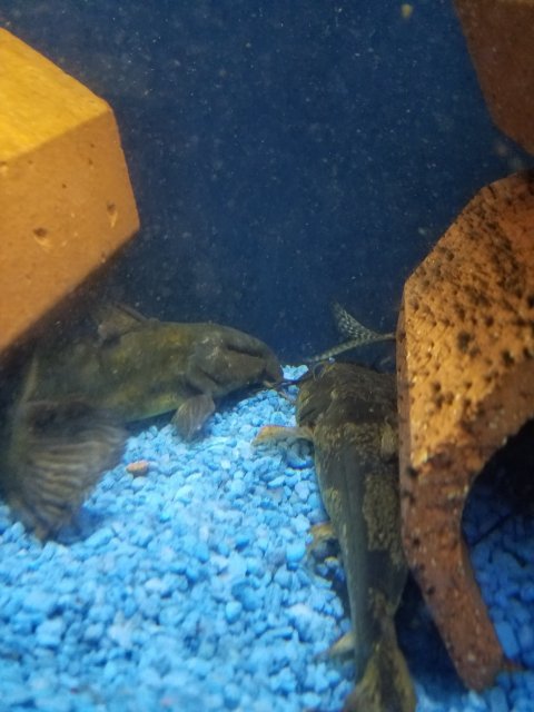 20190208_135452.jpg