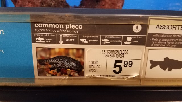 20190208_164218.jpg