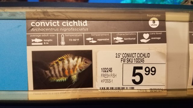 20190208_164042.jpg