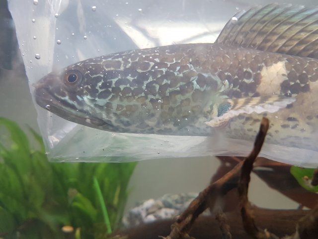 20190209_110427.jpg