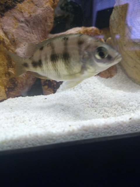 IMG_20190209_150137212.jpg IMG_20190209_150137212.jpg