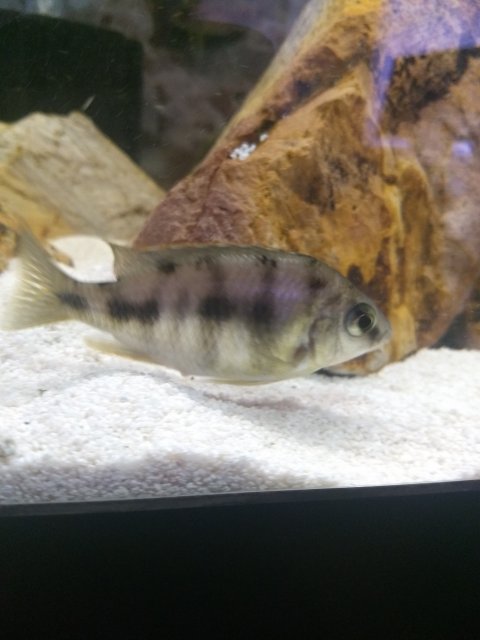 IMG_20190209_150130626.jpg IMG_20190209_150130626.jpg