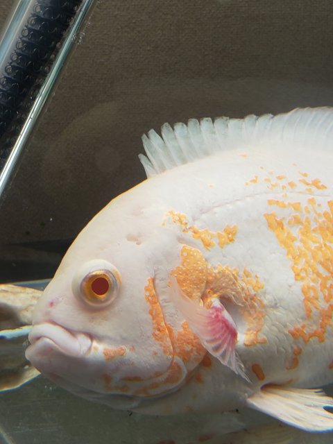 20190209_212043.jpg 20190209_212043.jpg