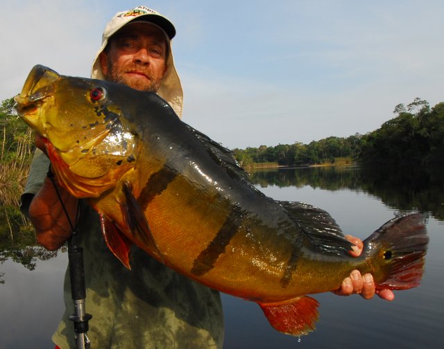 26-pound-peacock-bass.jpg
