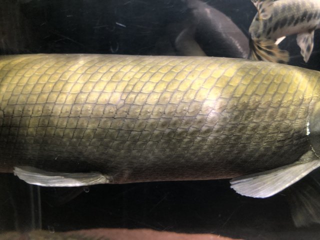 10029C00-25CF-4A87-9886-4E27526D1B41.jpeg