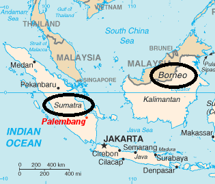 Indo Map.png