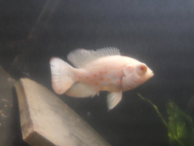 20170605_181541.jpg 20170605_181541.jpg