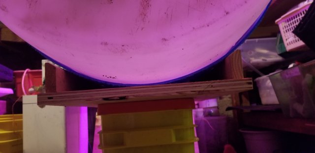 20190213_172740.jpg