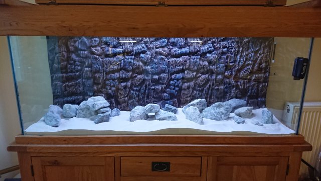 DSC_1676.JPG