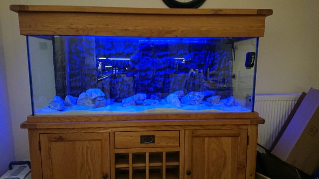 DSC_1679.JPG