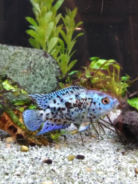 IMG_20181017_230631502_BURST000_COVER_TOP.jpg IMG_20181017_230631502_BURST000_COVER_TOP.jpg