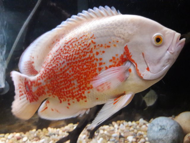 20180319_005251.jpg