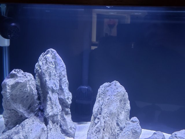 20190216_142500.jpg 20190216_142500.jpg