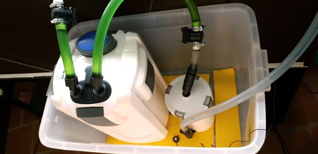 325g SunSun 704a and HW 603 top sm.jpg