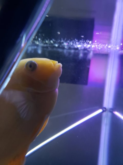 20190217_185019.jpg