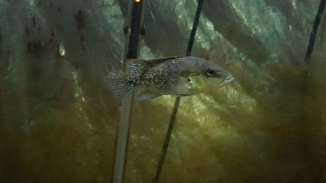 20190217_113602.jpg